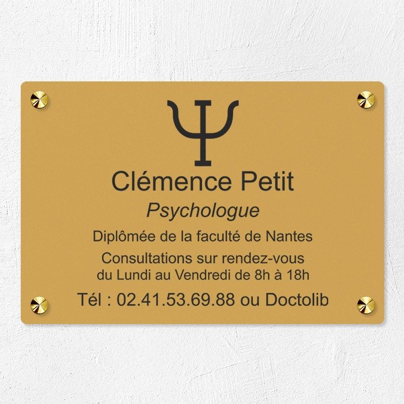 Plaque psychologue personnalisée économique en PVC économique 30x20cm Plaque psychologue personnalisée économique en PVC économique 30x20cm