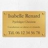 Plaque professionnelle en laiton 25x15cm