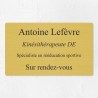 Plaque professionnelle économique en PVC gravoply 25x15cm